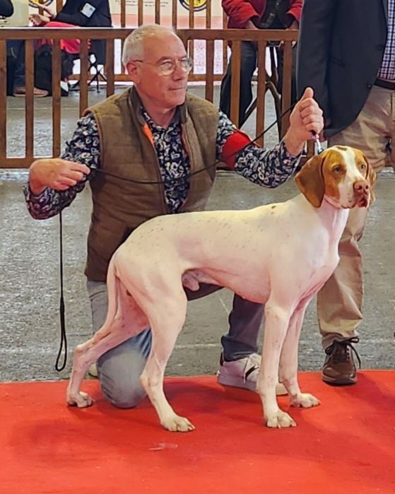 Du Domaine D’Avaugour - Exposition canine Amiens 2023, spéciale de race 